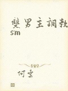 双男主调教小说sm