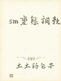 sm变态调教文