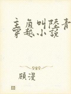 主角叫陆青云的穿越小说