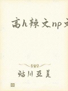 高h辣文np文