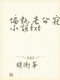 偏执老公宠上天小说txt