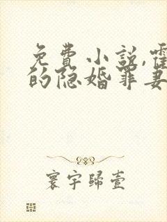 免费小说,霍爷的隐婚罪妻