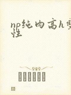 np纯肉高h双性