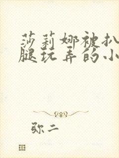 莎莉娜被扒开双腿玩弄的小说封面