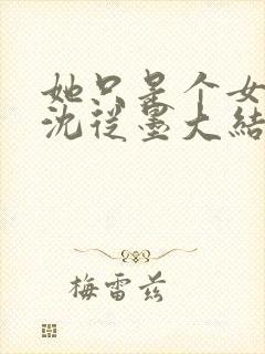 她只是个女苏雅沈从墨大结局封面