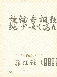 被轮番调教的清纯少女(高h)