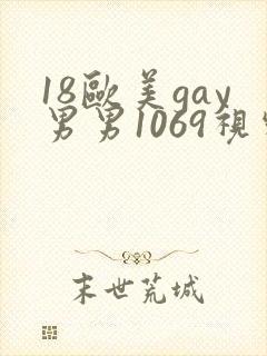 18欧美gay男男1069视频