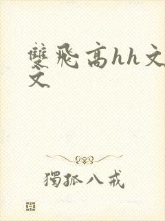 双飞高hh文辣文