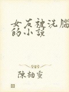 女友被洗脑恶堕的小说