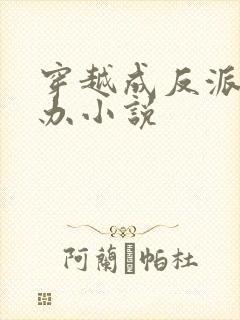 穿越成反派怎么办小说