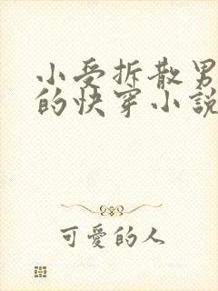 小受拆散男女主的快穿小说