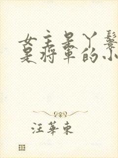 女主是丫鬟男主是将军的小说