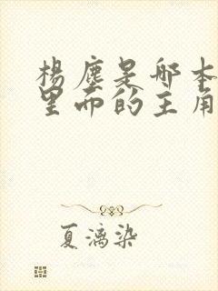 杨尘是哪本小说里面的主角