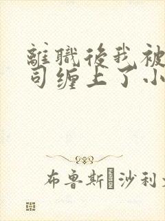 离职后我被前上司缠上了小说在线阅读