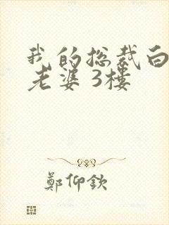 我的总裁白富美老婆 3楼封面