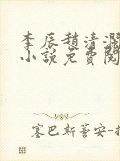 李辰赵清澜赵蕊小说免费阅读全文无删减封面