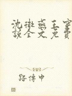 沈微燕王穿越小说全文免费阅读