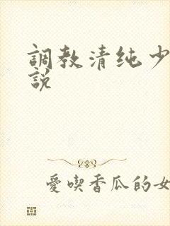 调教清纯少女小说封面