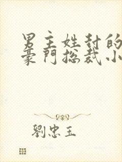 男主姓封的所有豪门总裁小说封面