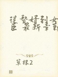 从赘婿到女帝宠臣 最新章节 无弹窗