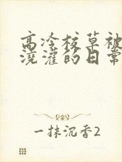 高冷校草被爸爸浇灌的日常小说结局是什么