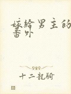 嫁给男主的舅舅番外封面