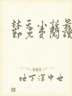 林天小说最新章节免费阅读全文