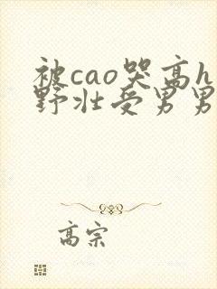被cao哭高h野壮受男男视频