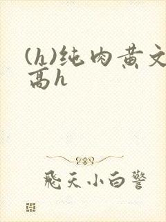 (h)纯肉黄文高h