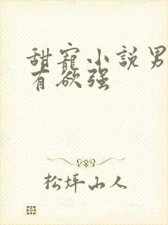 甜宠小说男主占有欲强封面