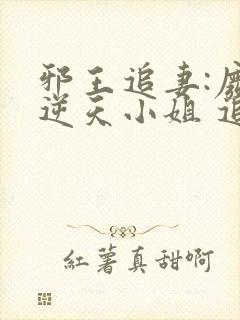 邪王追妻:废材逆天小姐 追书