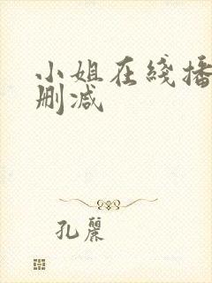 小姐在线播放未删减