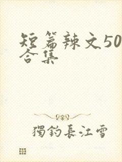 短篇辣文500合集封面