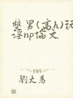 双男(高h)玩淫np伦文