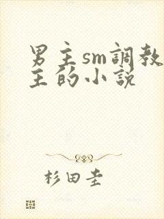 男主sm调教女主的小说