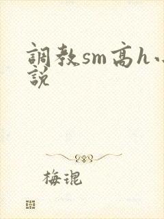 调教sm高h小说
