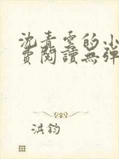 沈青云的小说免费阅读无弹窗全文最新章节