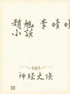 赵旭 李晴晴 小说封面