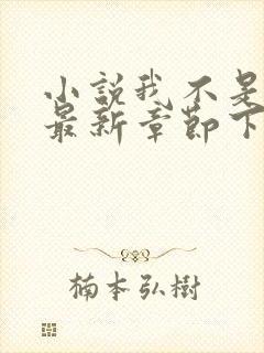 小说我不是戏神最新章节下载封面