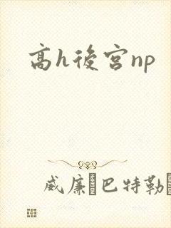 高h后宫np