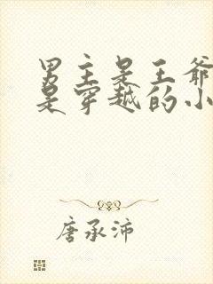 男主是王爷女主是穿越的小说