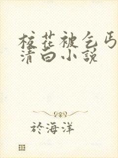 校花被乞丐毁了清白小说