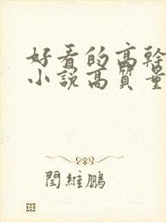 好看的高干言情小说高质量文笔好