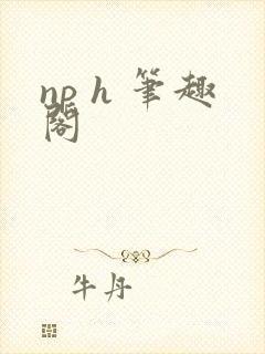np h 笔趣阁