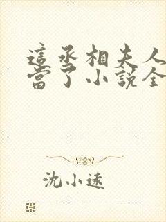 这丞相夫人我不当了小说全文免费阅读