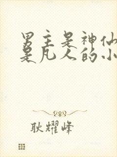 男主是神仙女主是凡人的小说