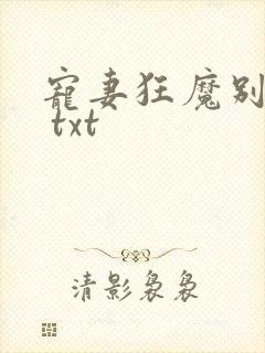 宠妻狂魔别太坏 txt