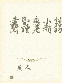 黄昏恋小说免费阅读老赵的小说