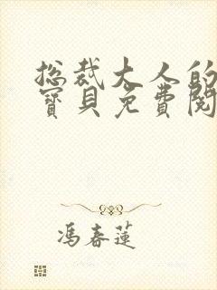 总裁大人的私有宝贝免费阅读封面