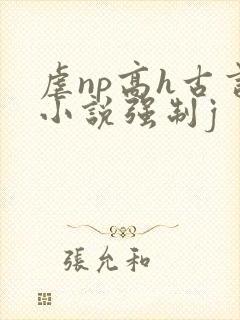 虐np高h古言小说强制j